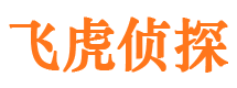 汝城市调查公司